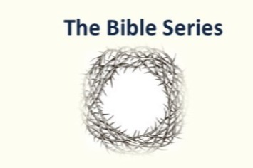  The Bible Series